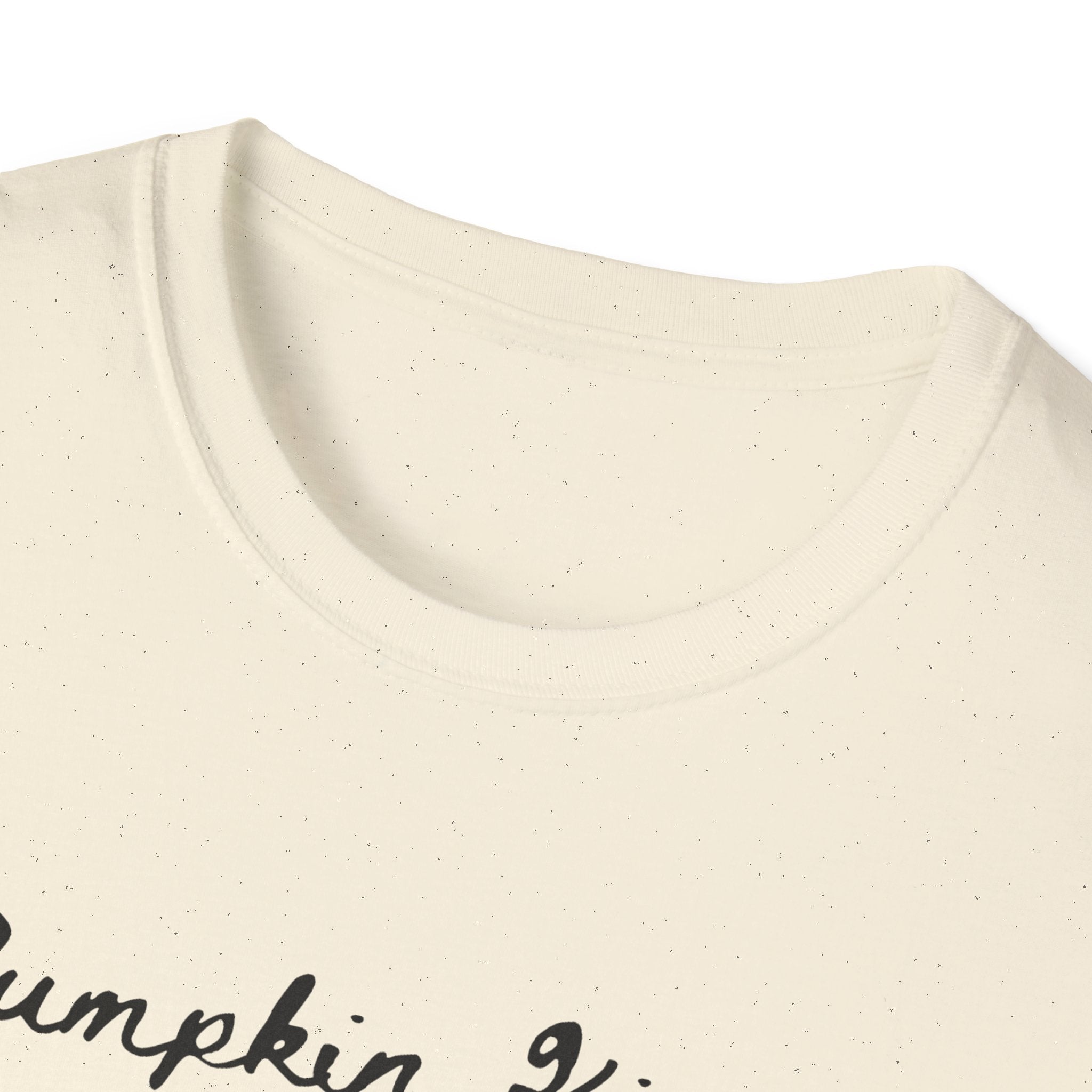 Pumpkin Kisses & Harvest Wishes T-Shirt — Fall Pumpkin Tees