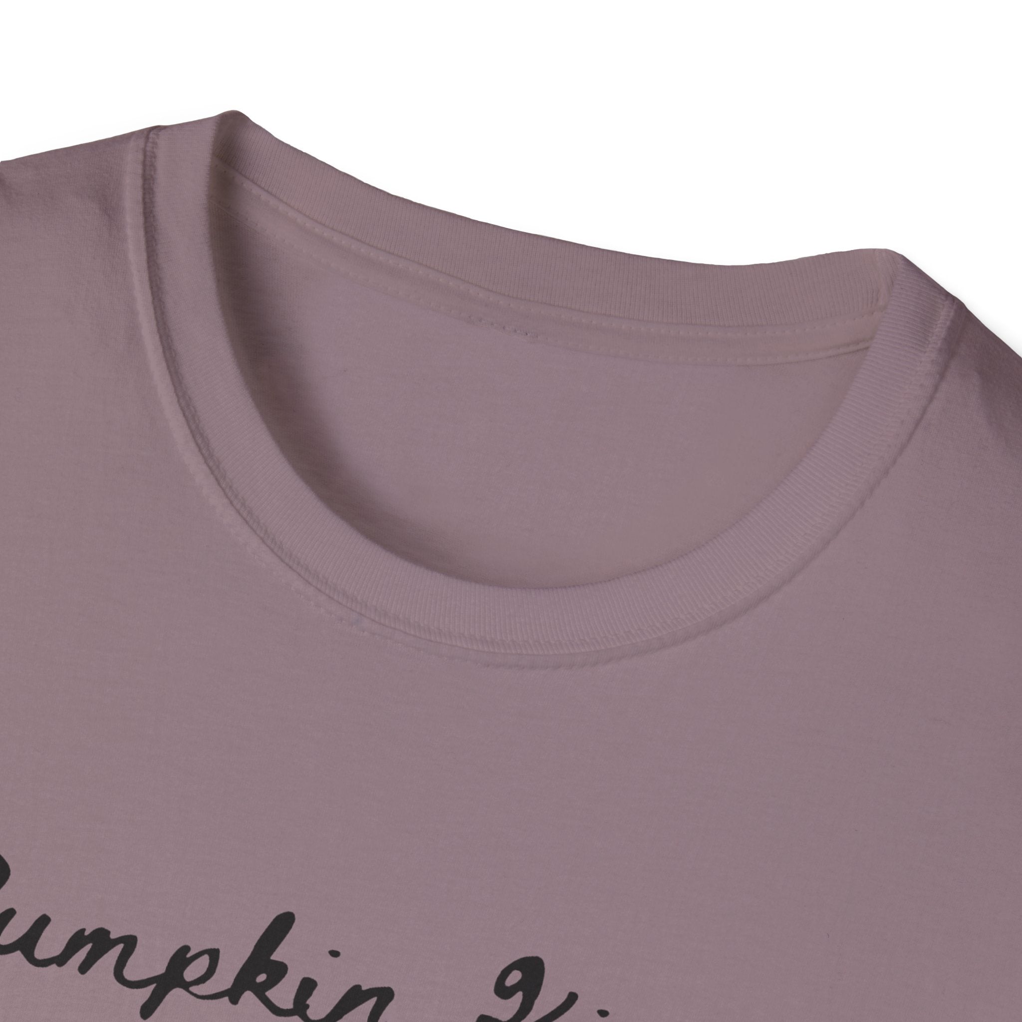 Pumpkin Kisses & Harvest Wishes T-Shirt — Fall Pumpkin Tees